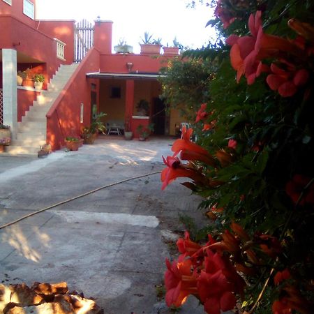 Casa Te La Bradamante Bed and Breakfast Magliano Exteriör bild