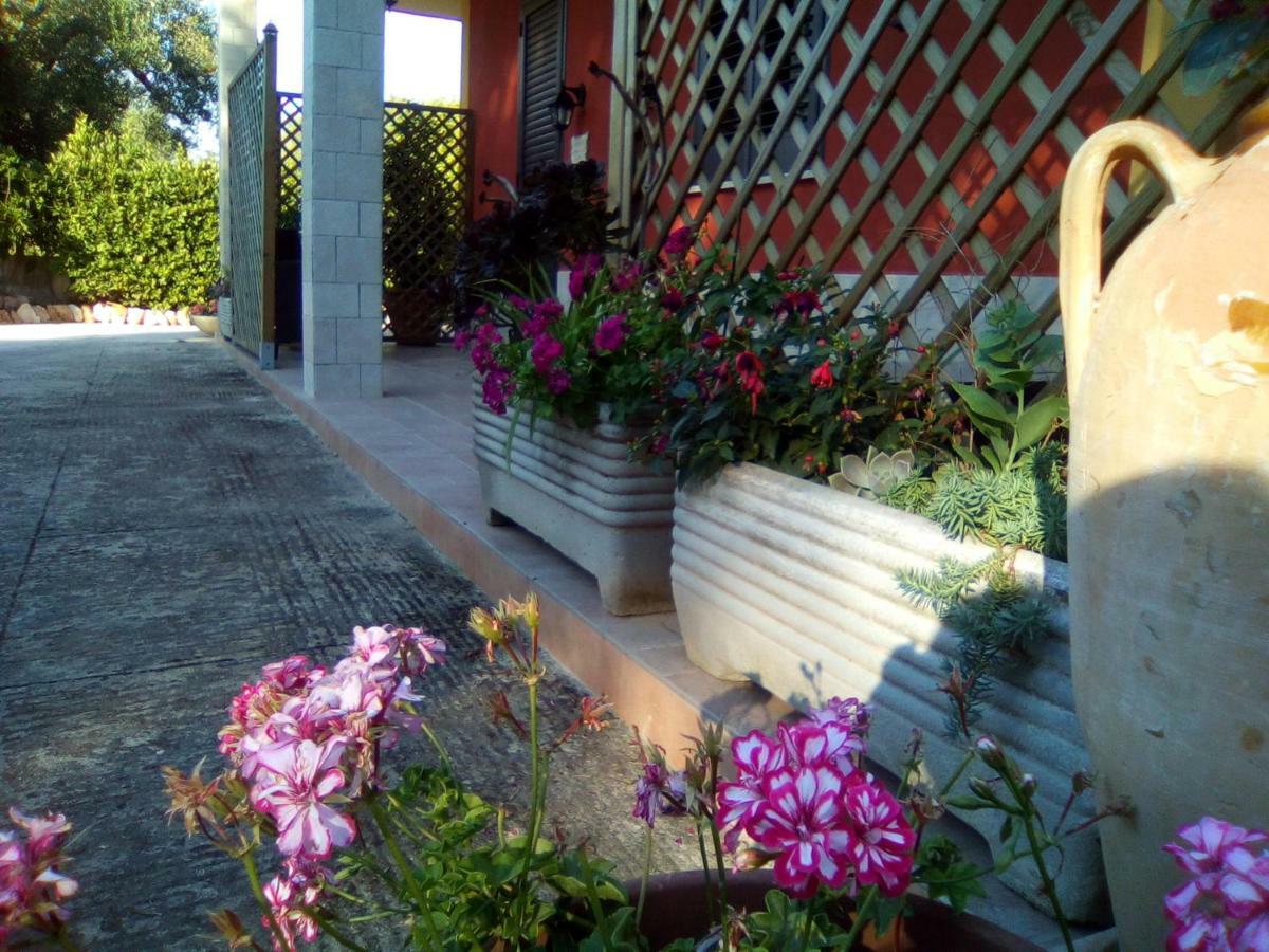 Casa Te La Bradamante Bed and Breakfast Magliano Exteriör bild