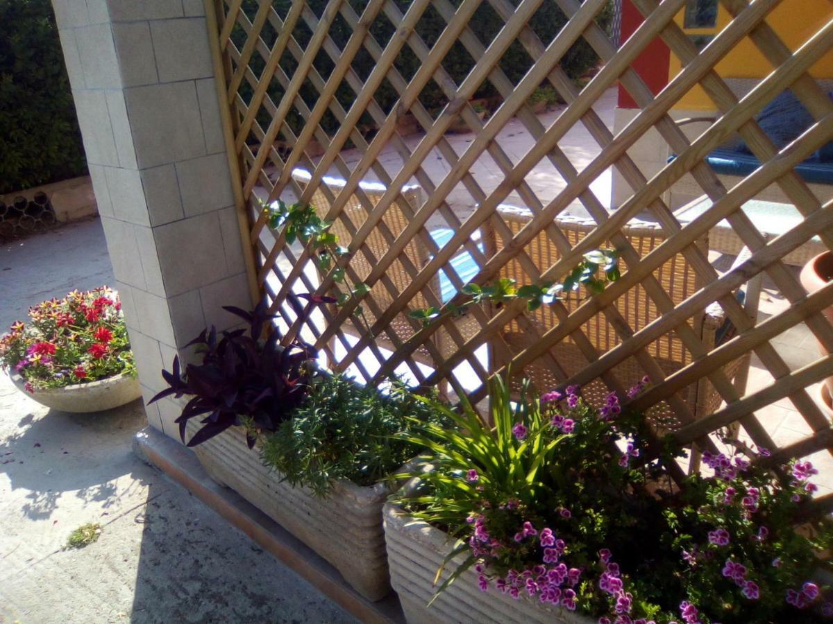 Casa Te La Bradamante Bed and Breakfast Magliano Exteriör bild