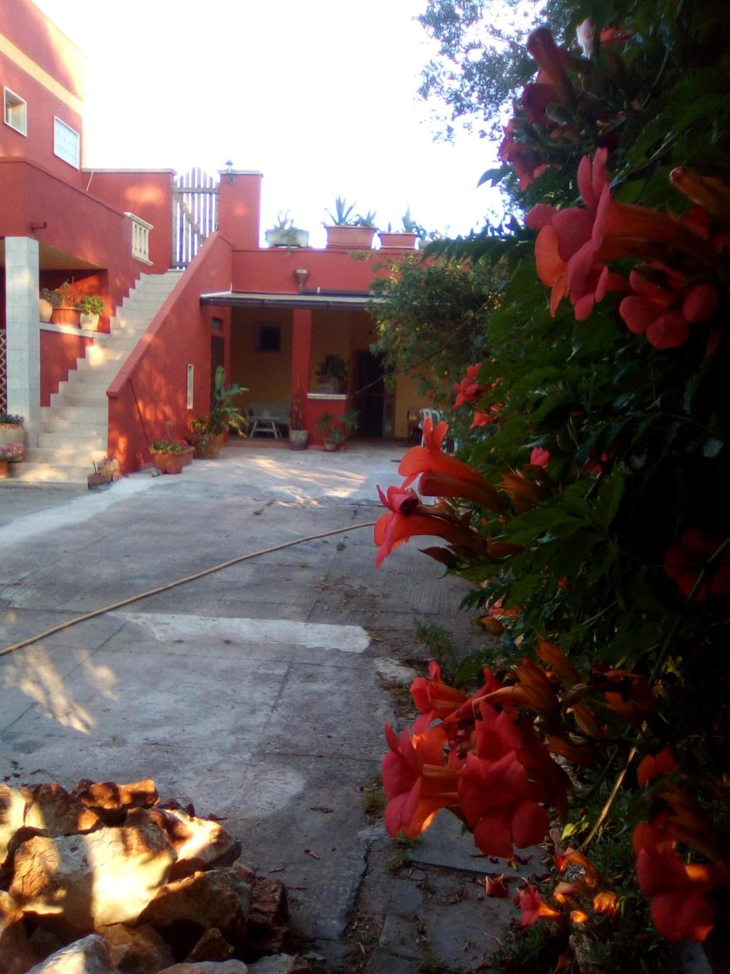 Casa Te La Bradamante Bed and Breakfast Magliano Exteriör bild